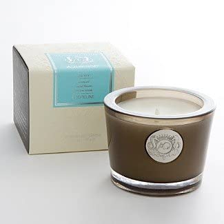 Aquiesse AQUIESSE Portfolio Collection "Shoreline" Candle 4.5oz - DimpzBazaar.com