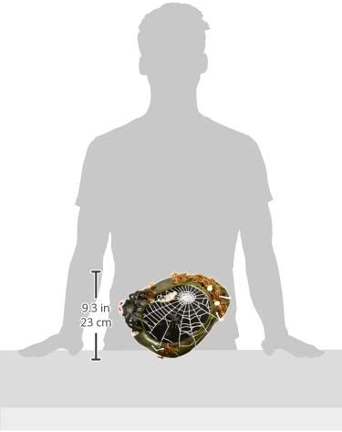 Department 56 Department 56 Halloween Village Animated Nightmare - DimpzBazaar.com