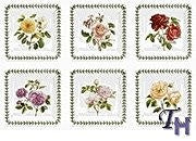 Portmeirion Portmeirion Botanic Roses Square Salad Plate - Set of 6 - DimpzBazaar.com