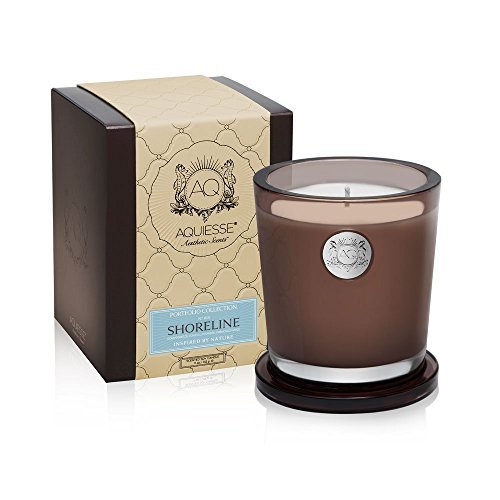 Aquiesse Aquiesse Portfolio Collection Large Candle - Shoreline (10 oz) - DimpzBazaar.com
