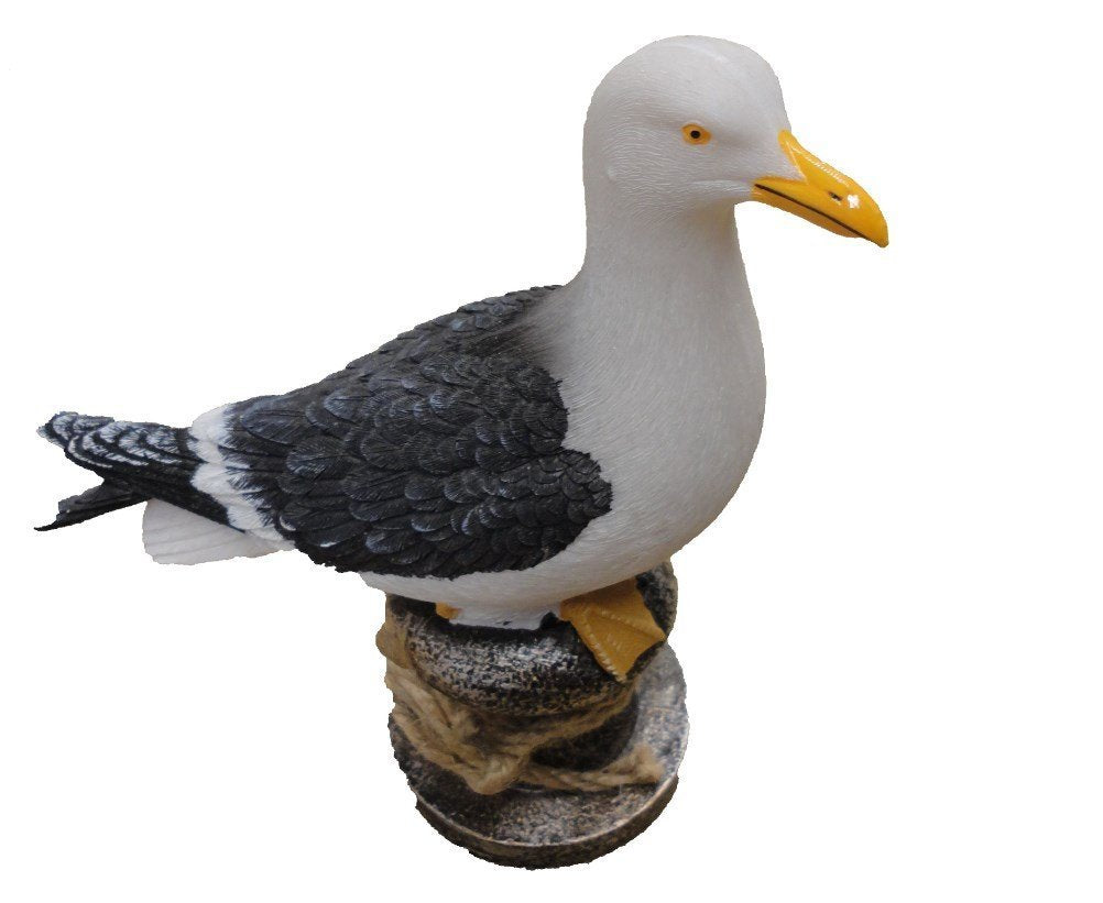 Beachcombers Beachcombers SS-BCS-02820 Home Decor Products - DimpzBazaar.com