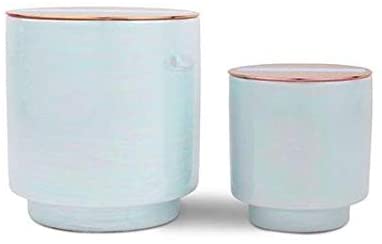 Paddywax Candles Paddywax Candles Glow Collection - DimpzBazaar.com