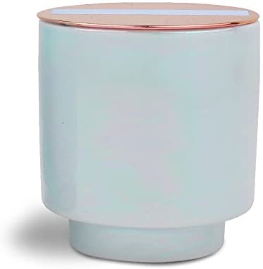 Paddywax Candles Paddywax Candles Glow Collection - DimpzBazaar.com