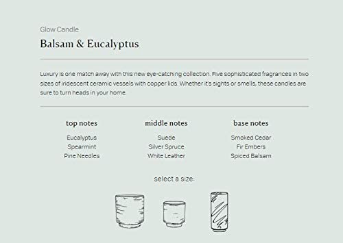 Paddywax Candles Paddywax Candles Glow Collection - DimpzBazaar.com