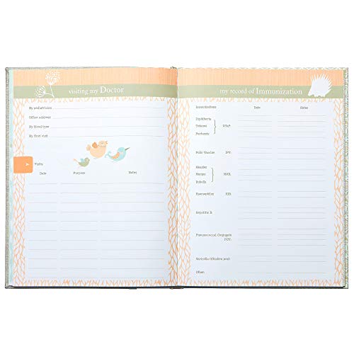 C.R. Gibson C.R. Gibson Grey 'Linen Tree' Loose Leaf First Five Years Memory Baby Book, 64pgs, - DimpzBazaar.com