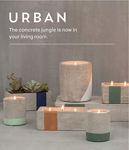 Paddywax Candles Paddywax Candles - DimpzBazaar.com