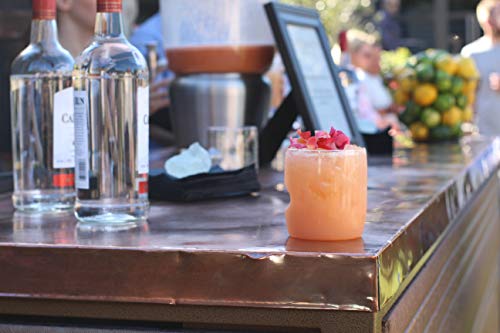 Govino Govino 14 Ounce Whiskey Glasses - DimpzBazaar.com