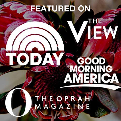 Pink Picasso Pink Picasso - Adult Paint by Numbers Kit 16x20 (Pretty Protea) - DimpzBazaar.com