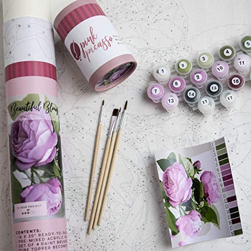 Pink Picasso Pink Picasso Kits Paint by Numbers Kits for Adults, 16x20 (Beautiful Blooms) - DimpzBazaar.com