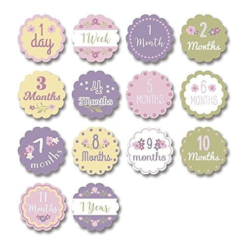 Mary Meyer lulujo Baby Baby's First Year Milestone Blanket and Cards Set, Loved Beyond Measure - DimpzBazaar.com