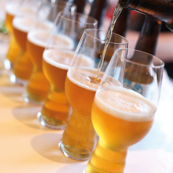 Spiegelau Spiegelau Beer Classics IPA Glass, Set of 6 - DimpzBazaar.com
