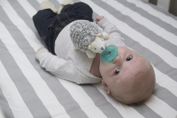 Mary Meyer Mary Meyer WubbaNub Infant Pacifier ~ Sunshine Hedgehog - DimpzBazaar.com