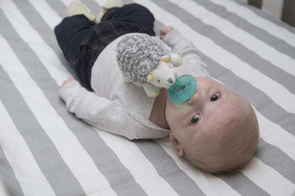 Mary Meyer Mary Meyer WubbaNub Infant Pacifier ~ Sunshine Hedgehog - DimpzBazaar.com