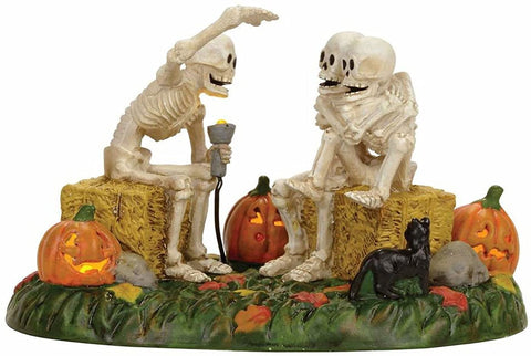 Department 56 Department 56 Village Halloween Scary Skeleton Stories Accessory Figurine - DimpzBazaar.com