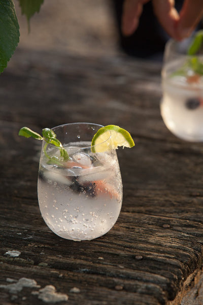 Govino Govino Shatterproof Stemless Wine Glasses - DimpzBazaar.com