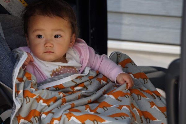 MilkBarn Milkbarn Organic Cotton Stroller Blanket - DimpzBazaar.com