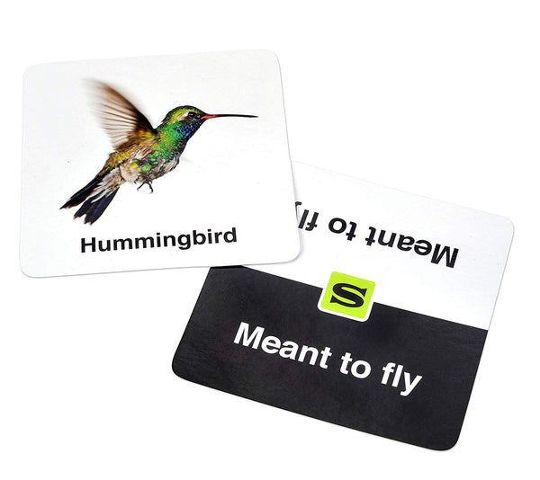 TENZI TENZI CG-102016 Slapzi Memory Card Party Game for All Ages - 2-10 Players, Green - DimpzBazaar.com